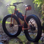 elroy sparta fat-bike