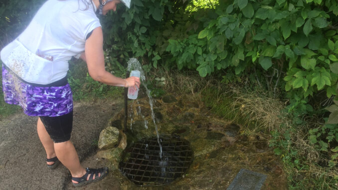 Old Facefull. One of the many springs along the route to top off at