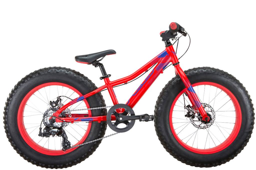 kids-fatbikes-10