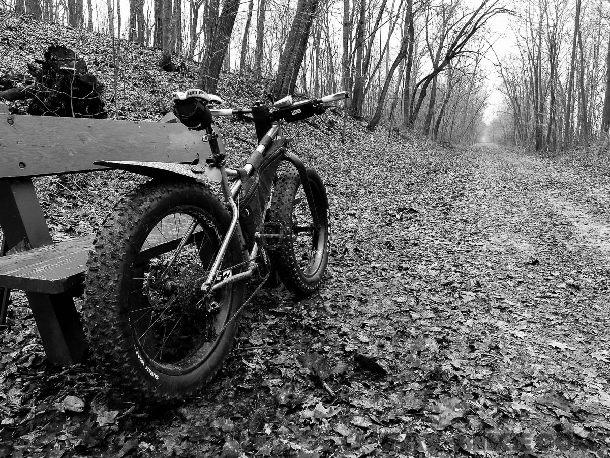 rsd ti mayor fat bike-2