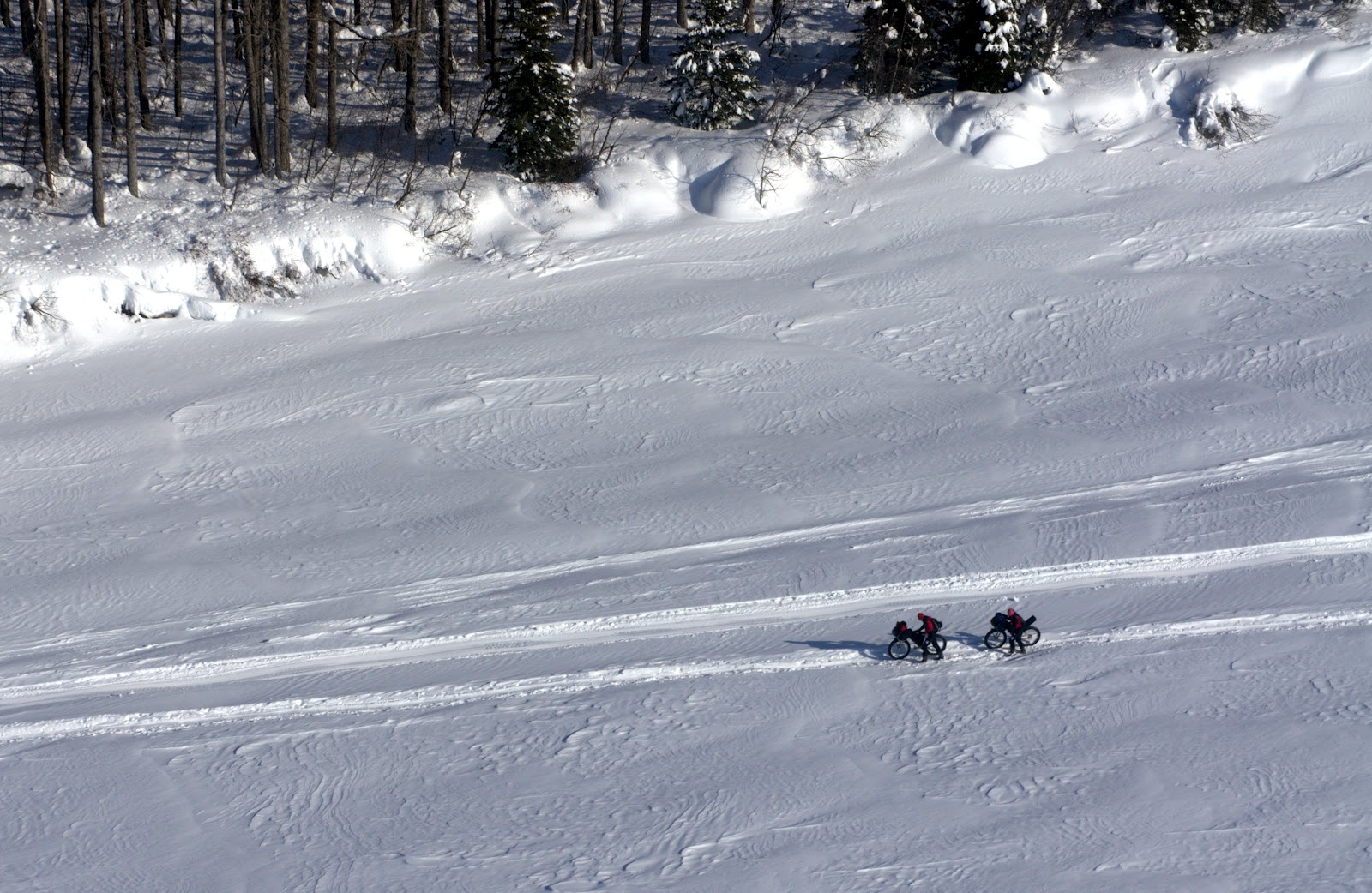 iditarod fatbikes