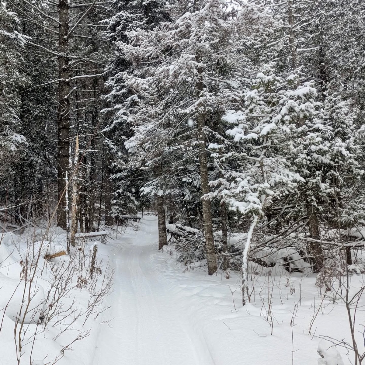 snowy bicycle trail