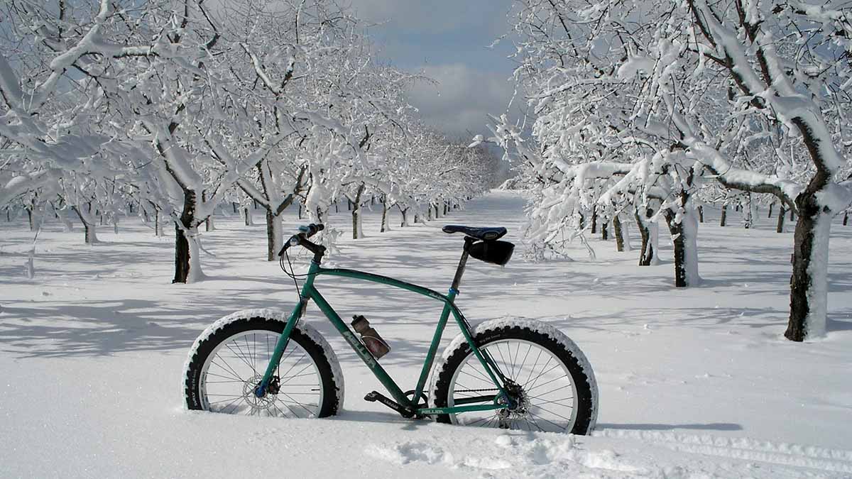 bob keller fatbike