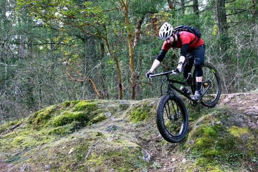 jones spaceframe