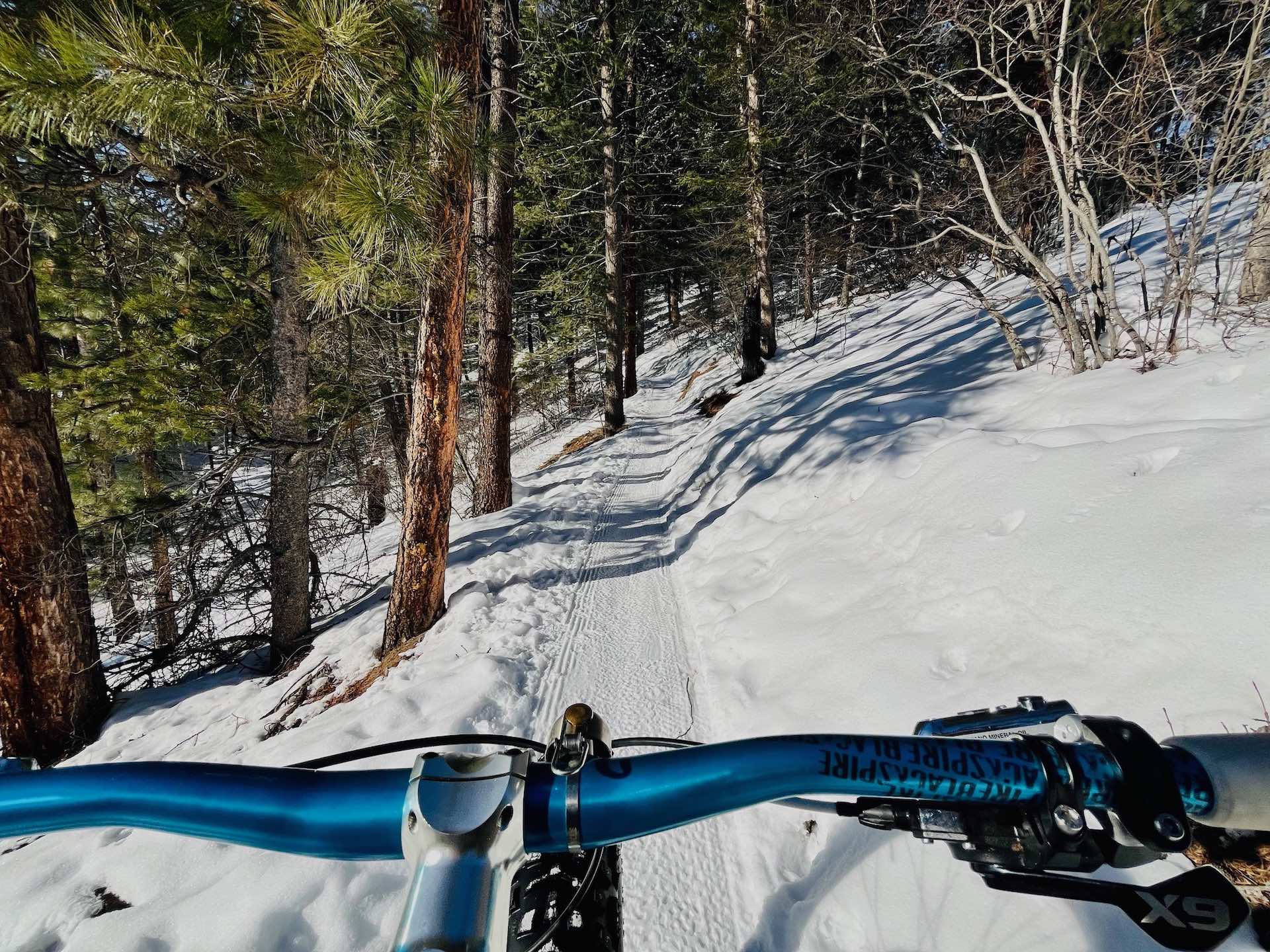 Fat-bike view from handlebars on trail in show covered forest