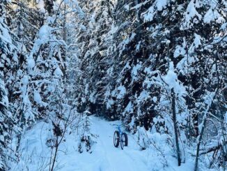 Fat-bike on trail in show covered forest