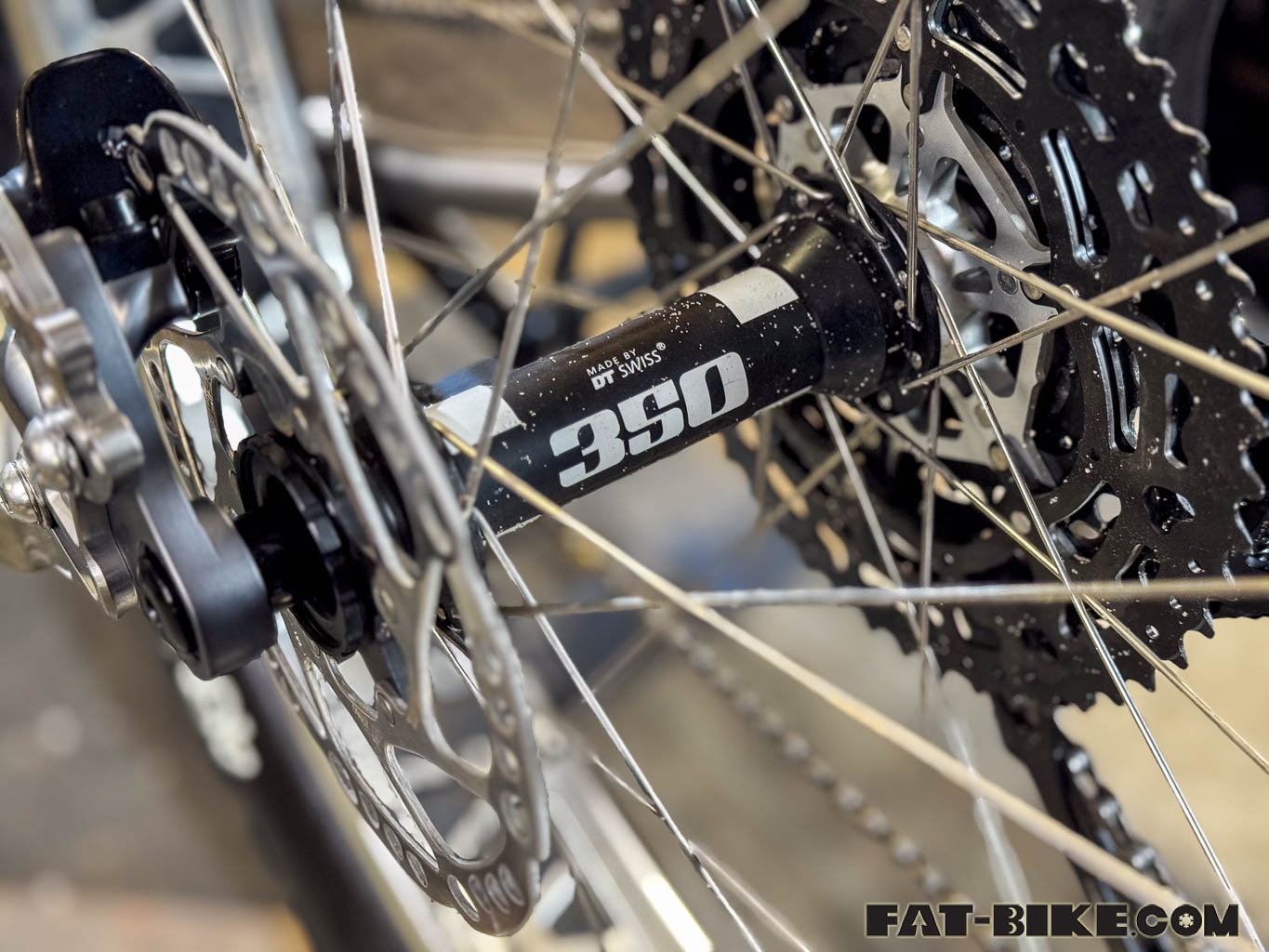dt swiss 350 fat bike rear hub