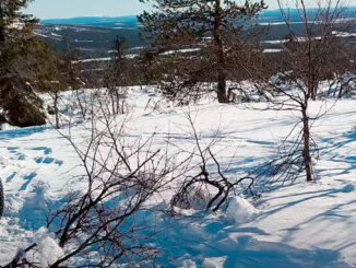 Kätkätunturi Fatbike