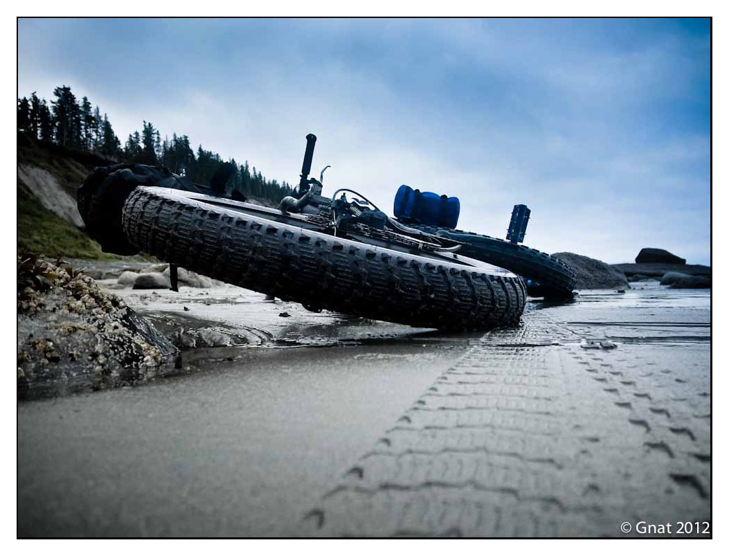 fat bike tire tracks