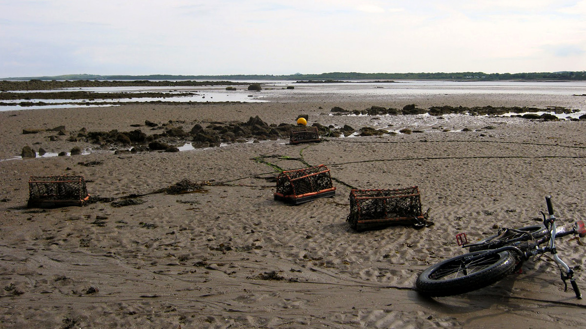 scottish beach low tide fat-bike