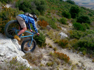salamdre fatbike