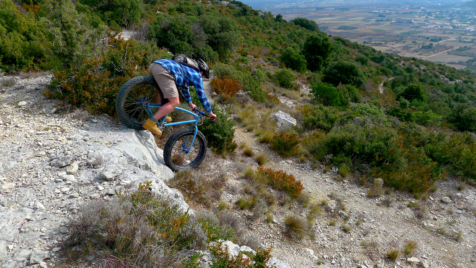 salamander fat-bike
