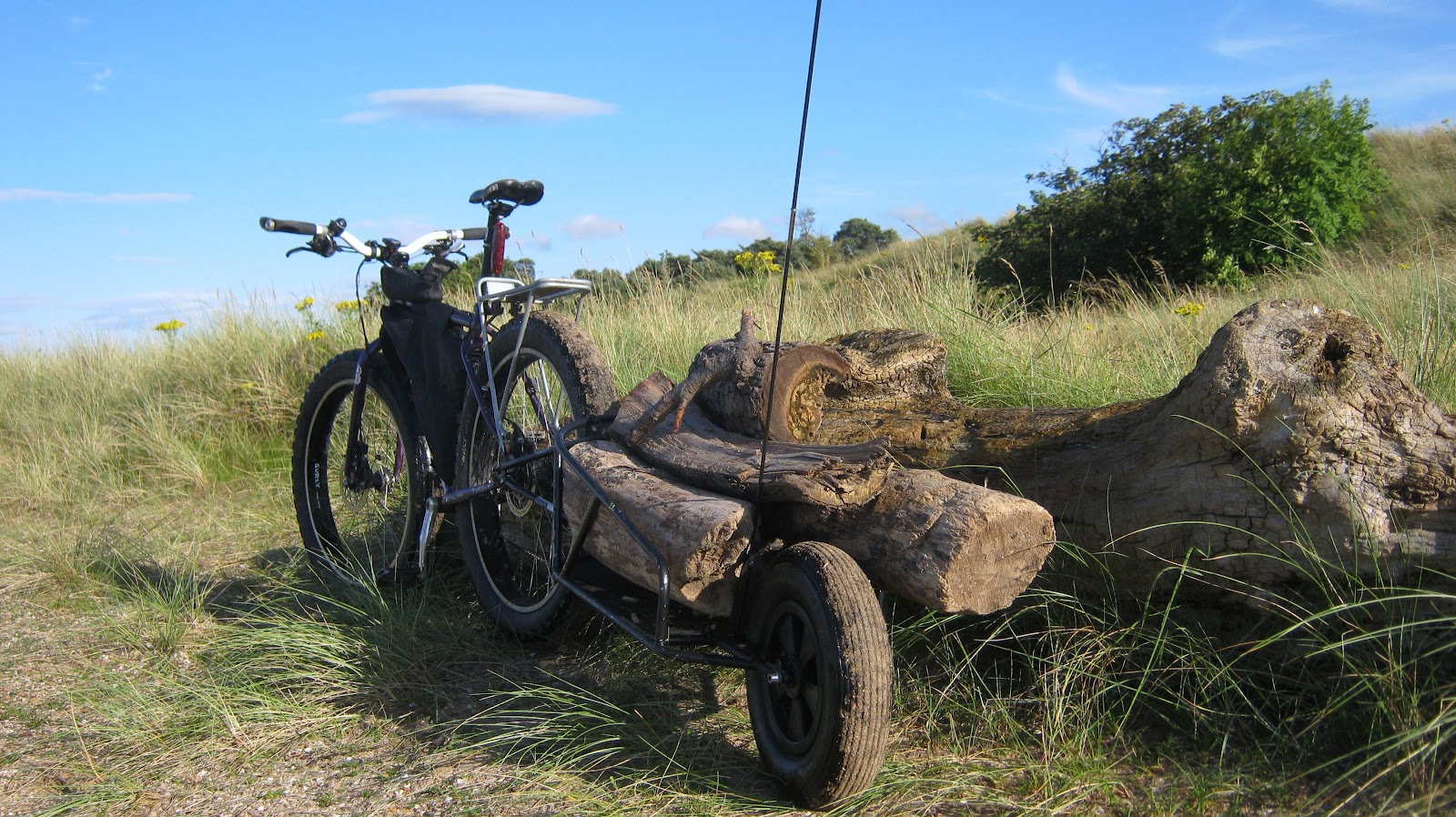 fatbike bob trailer