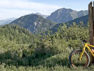 fat-bike as a mountain bike