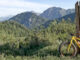fat-bike as a mountain bike