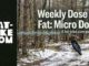 weekly dose of fat micro dose